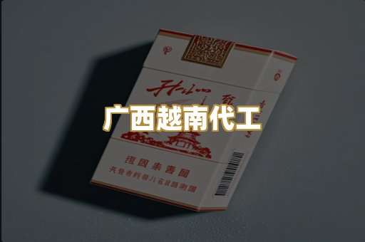 广西越南代工